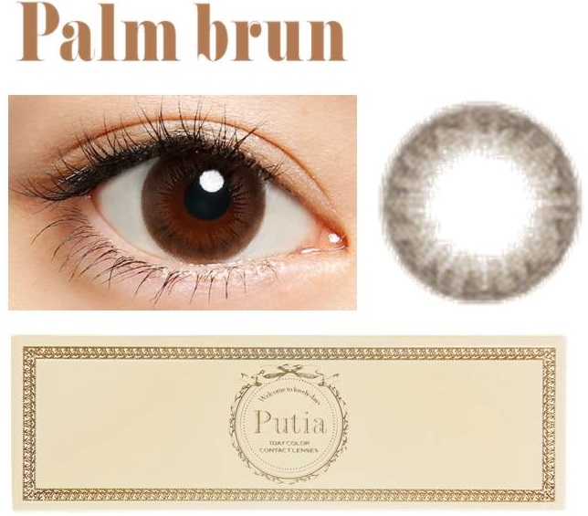 Palm brun（パームブラン）